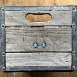 Turquoise Domes - 2.5"