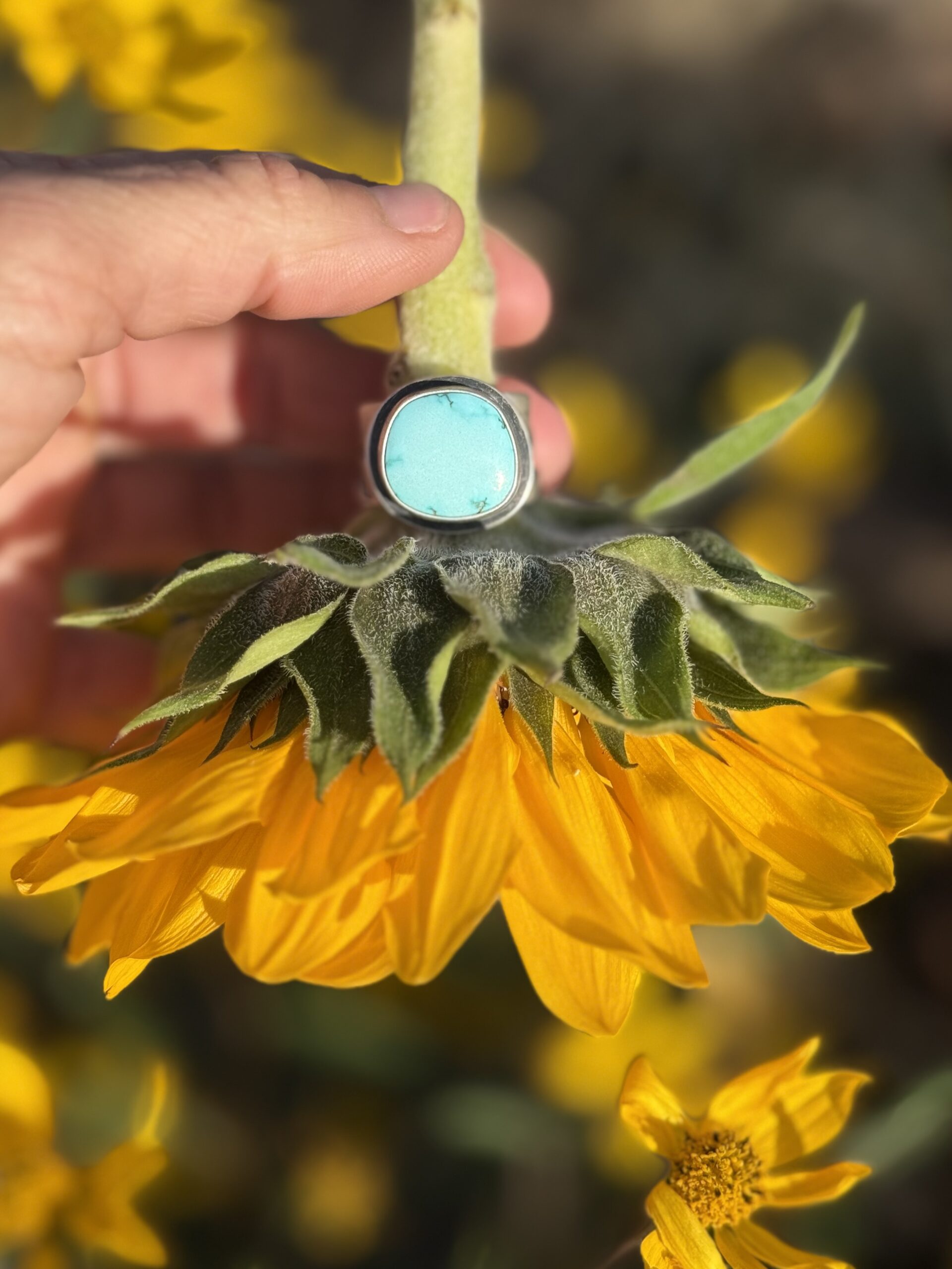Lone Mountain Turquoise Silver Ring with a Mountain Star Band - size 8 - Image 11