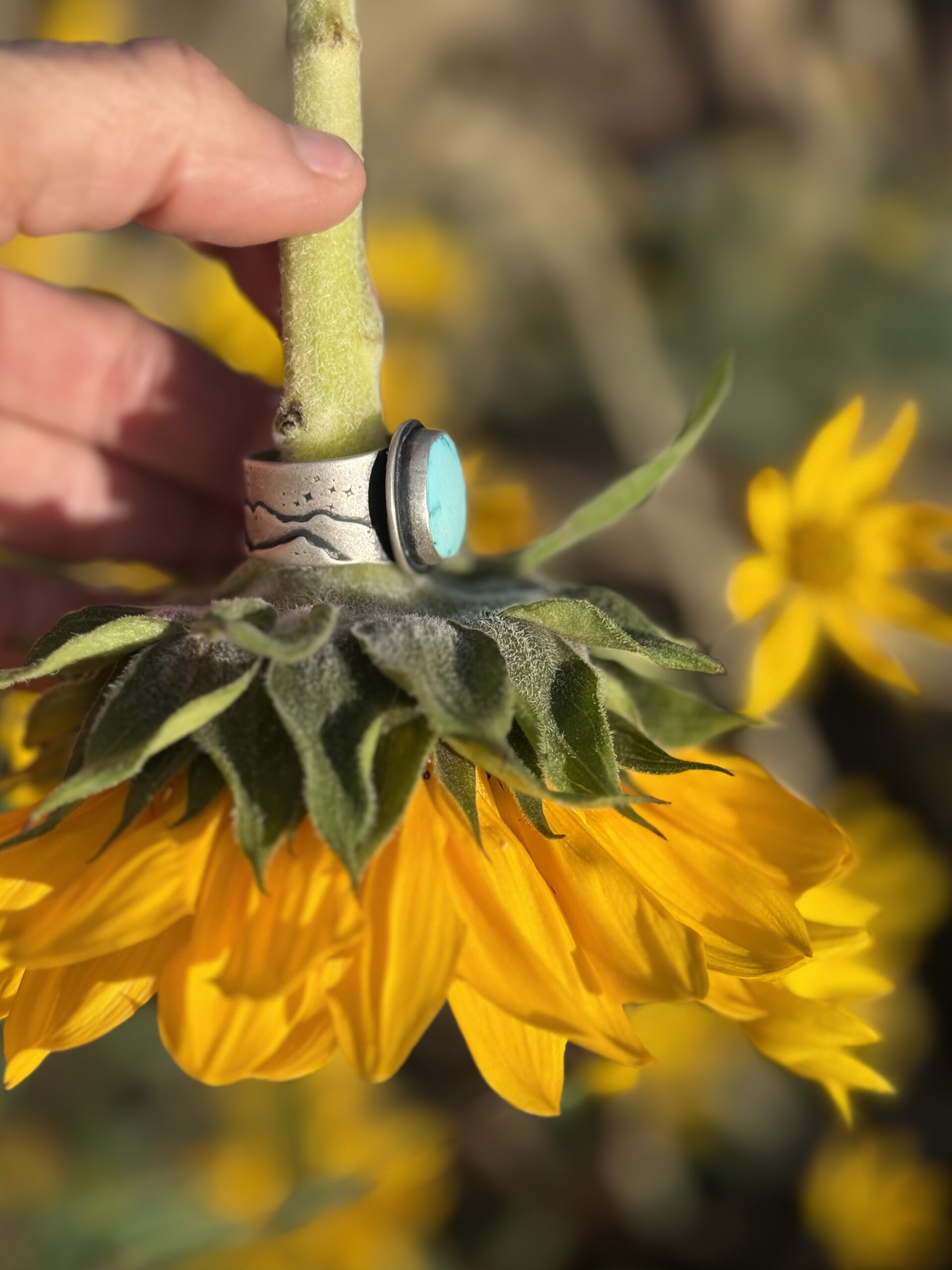 Lone Mountain Turquoise Silver Ring with a Mountain Star Band - size 8 - Image 10