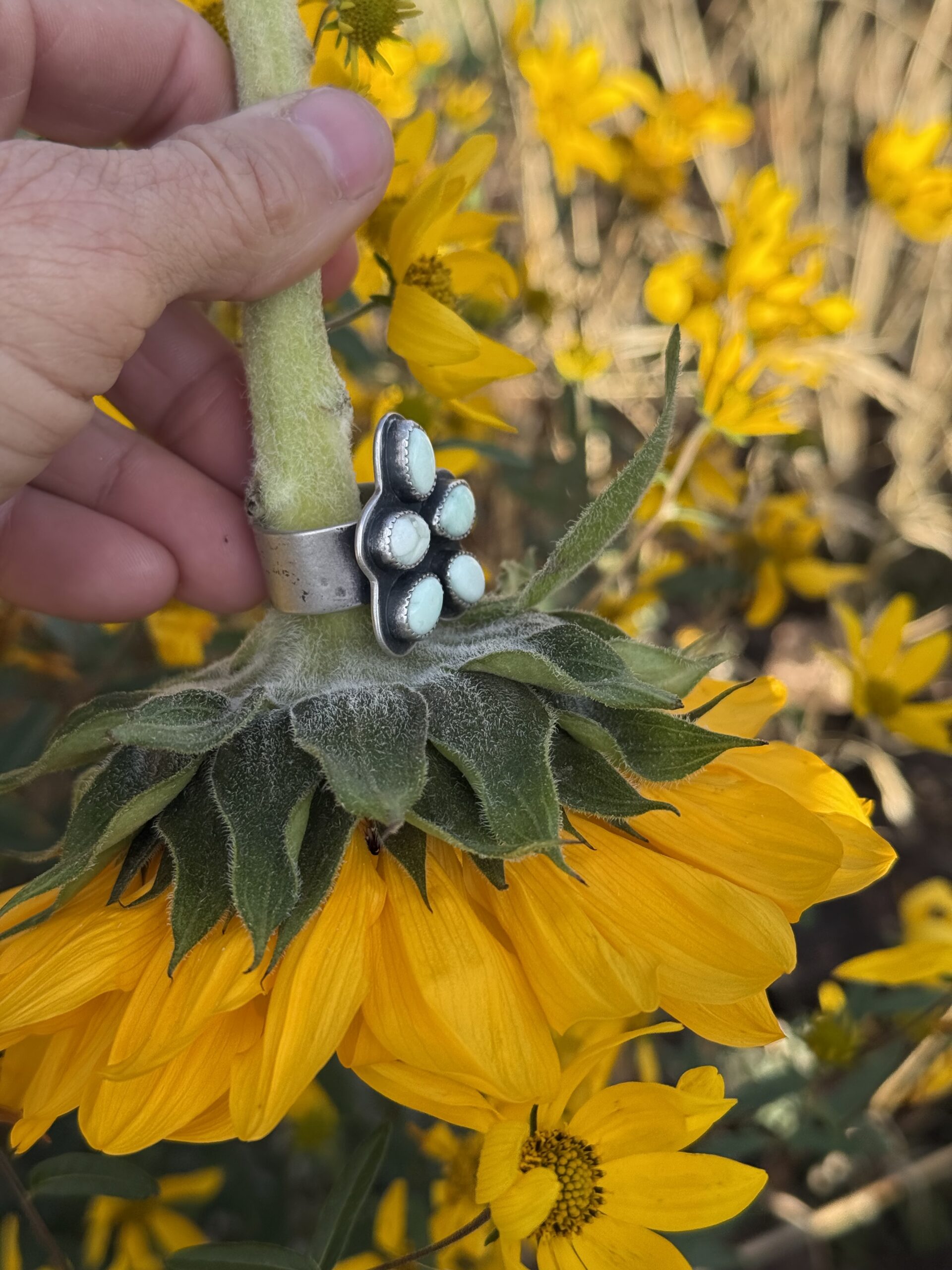 Paloma Sunflower Silver Ring with a Wide Distressed Band - size 8 - Image 6