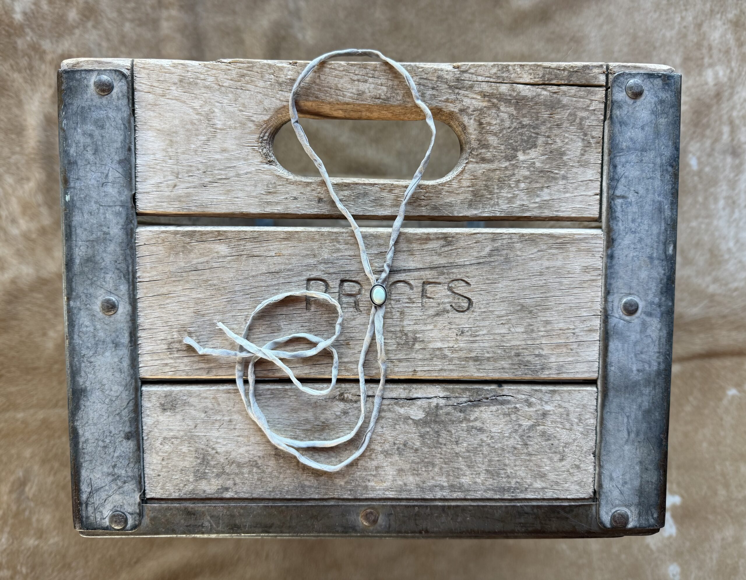 Paloma Bolo on a Light Gray Silk Cord